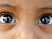 détecteur contact visuel découvert dans cerveau