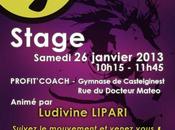 MEGA STAGE ZUMBA CASTELGINEST