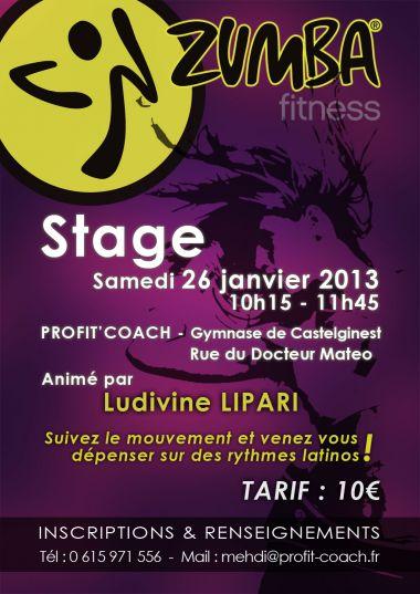 MEGA STAGE ZUMBA à CASTELGINEST