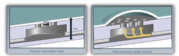 Tactus invente l’écran tactile au relief dynamique