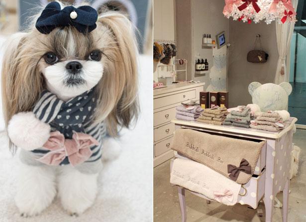 Collections Louisdog pour chiens : Bibbidi Bobbidi Boo & Cinderella