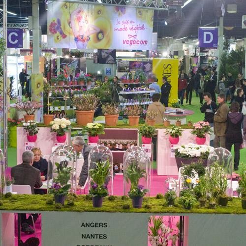 BHR – Bureau Horticole Régional : Avec le Salon Du Végétal 2013, osez découvrir et valoriser le végétal !
