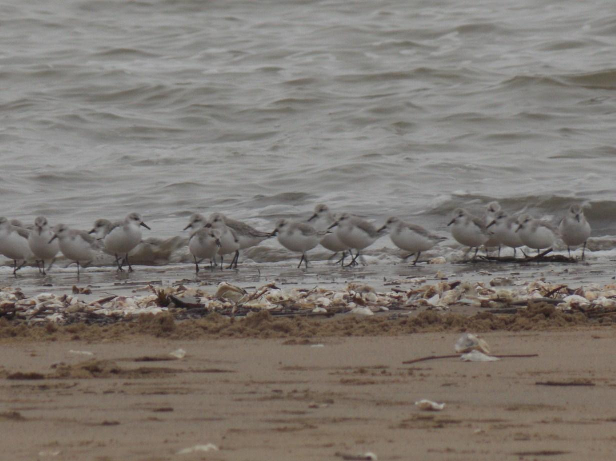 impression fugace et volatile