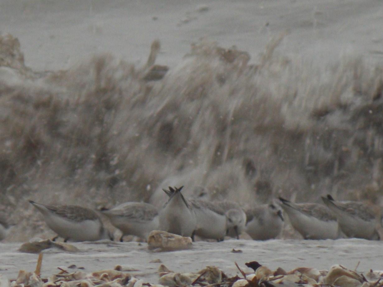 impression fugace et volatile