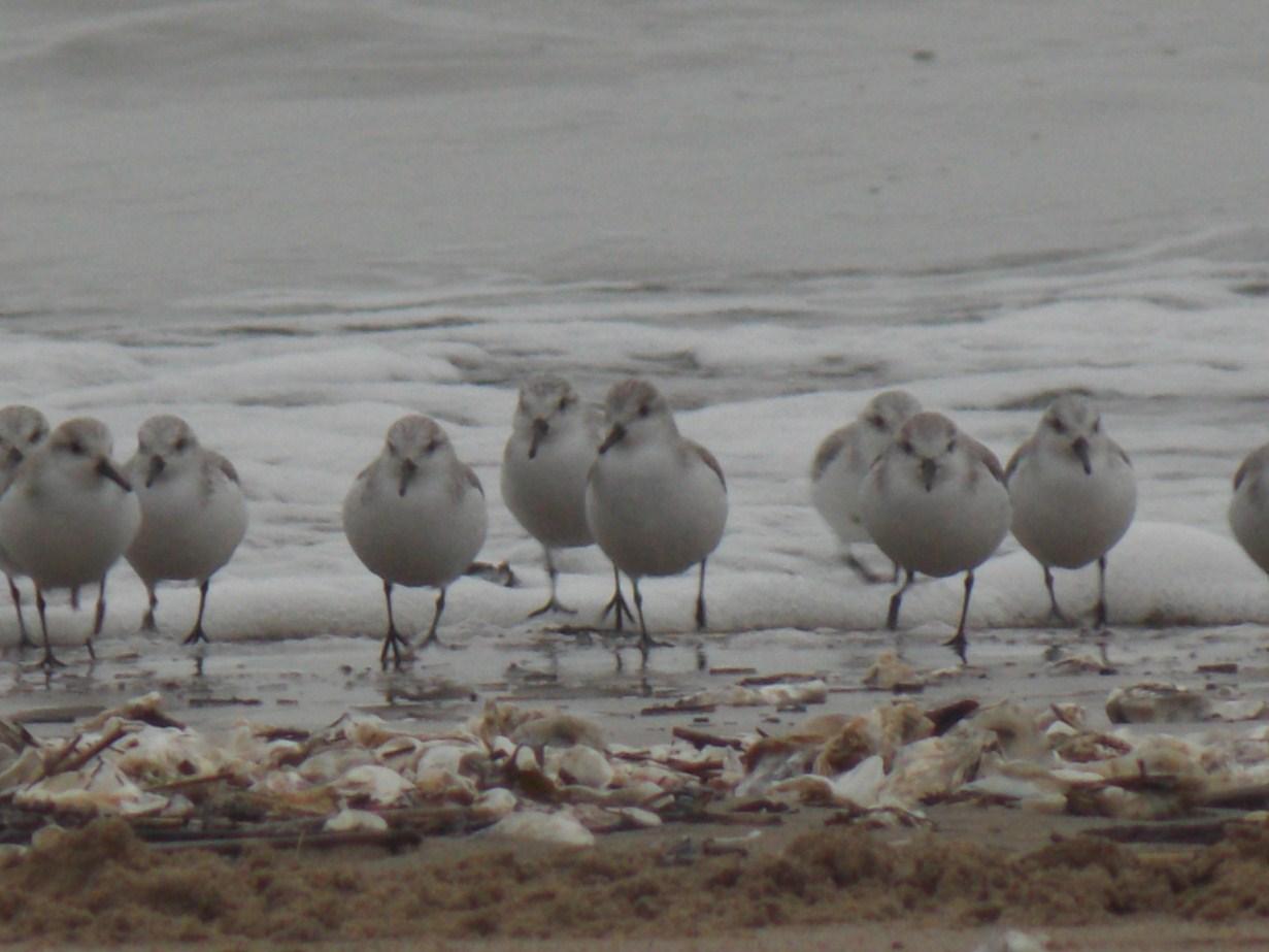 impression fugace et volatile