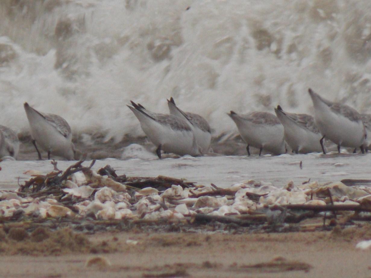 impression fugace et volatile