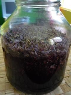 Eau de rincage vinaigre macere aux plantes Eau de rincage vinaigre macere aux plantes