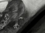 Quand minable fait culpa….