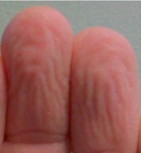 BIOLOGIE: Dans l’eau, avoir les doigts frippés a son utilité! – Biology Letters