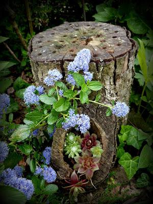 Le club des cinq ...