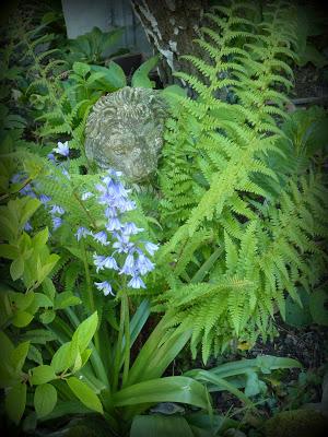 Le club des cinq ...