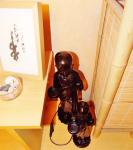 [Shooting & Inspirations] Détails Chic