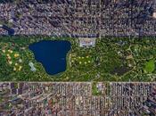 Magnifique photo Central Park