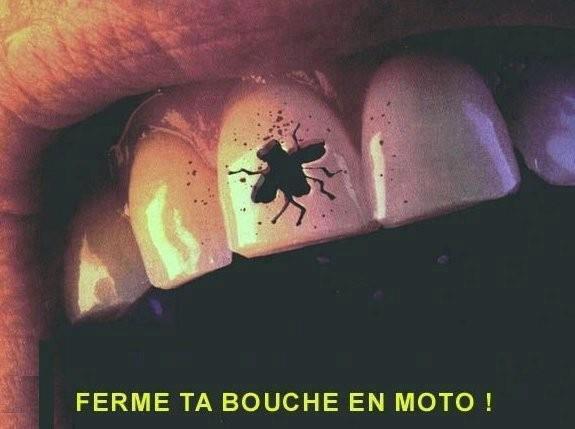 La ritournelle du motard qui gueule!