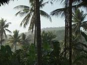 Bonjour belle journée vous. 7h10, eu...