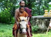 Thaïlande, temple Cheval d'or
