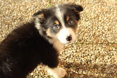 Yves Rocher rehausse mon avis