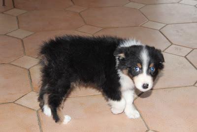 Yves Rocher rehausse mon avis