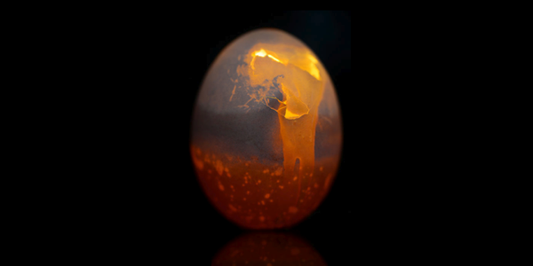 Qui de la poule ou de l’oeuf…