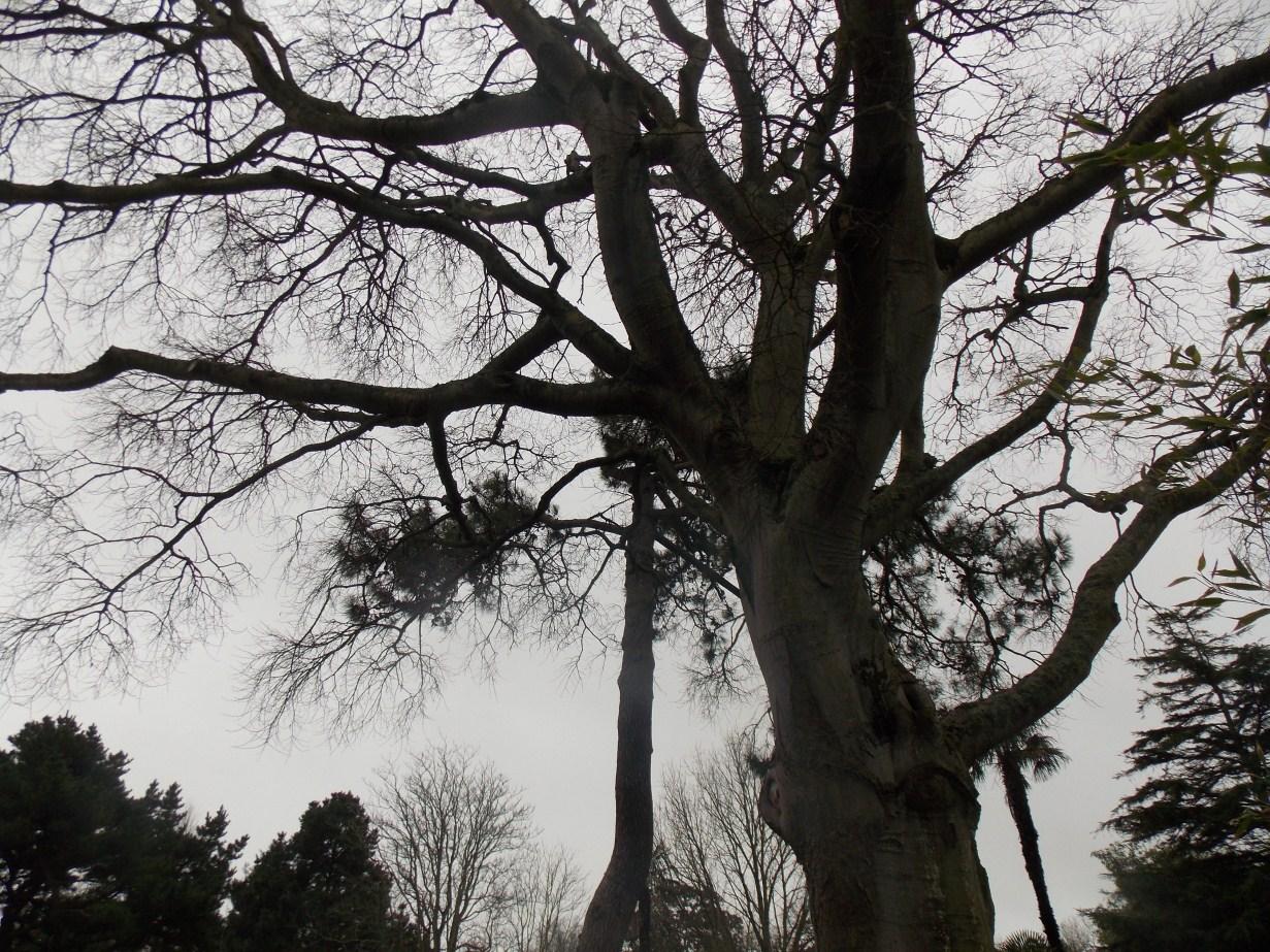 circonstances atténuées