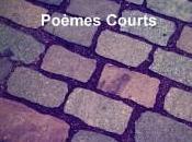 Parution recueil poèmes courts