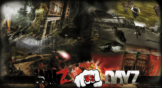 dayz warz