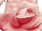 MENU JOUR-samedi 12/01/13