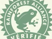 Comment sauver forêt tropicale