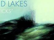 Musique: Besnard Lakes People Sticks
