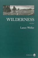 Wilderness de Lance Weller (Gallmesiter)