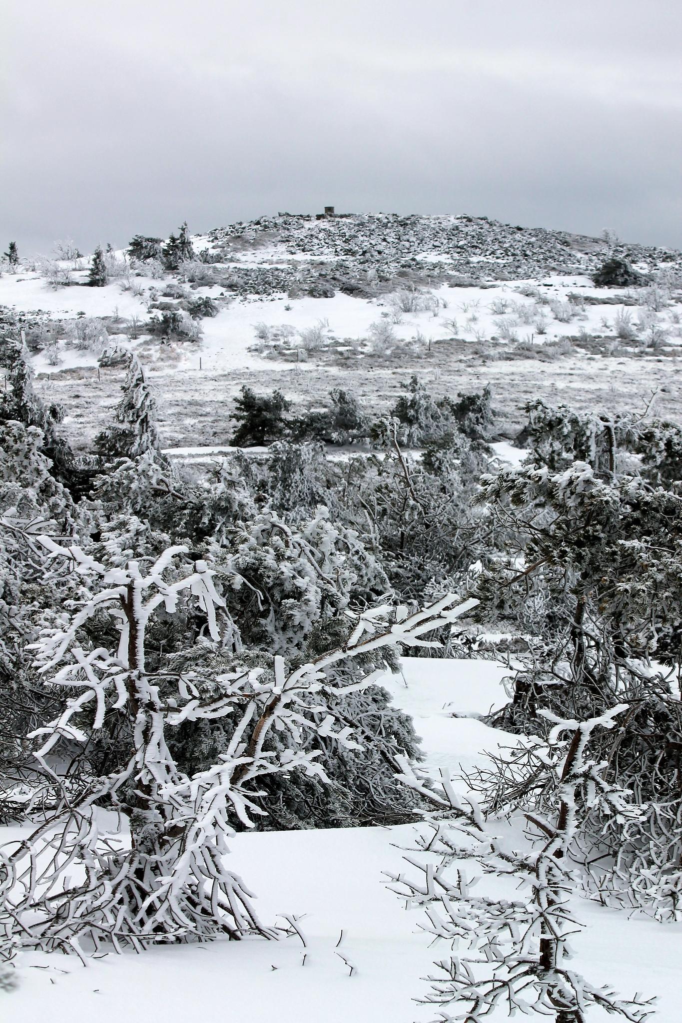 Randonnée raquettes avec raquettes