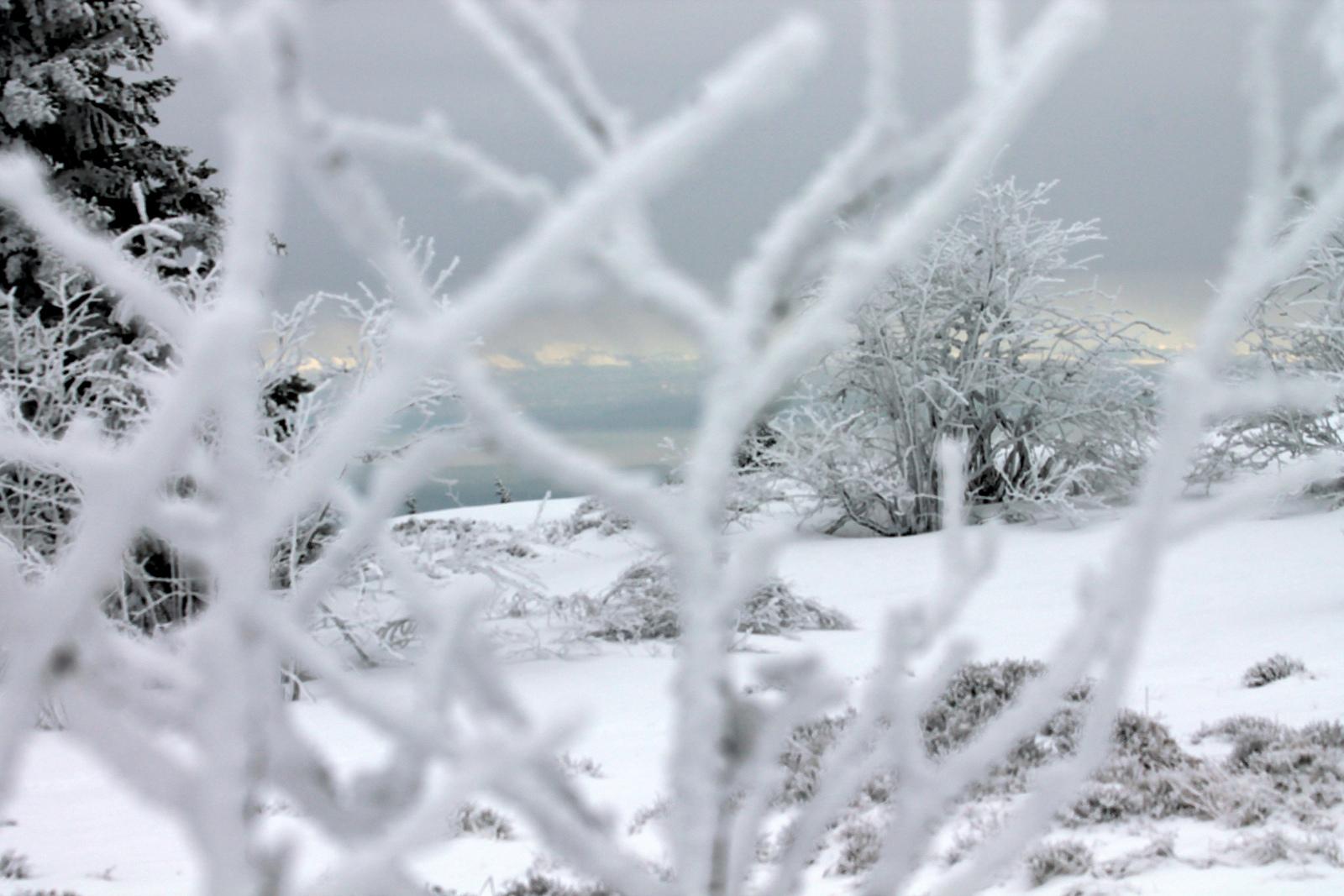 Randonnée raquettes avec raquettes