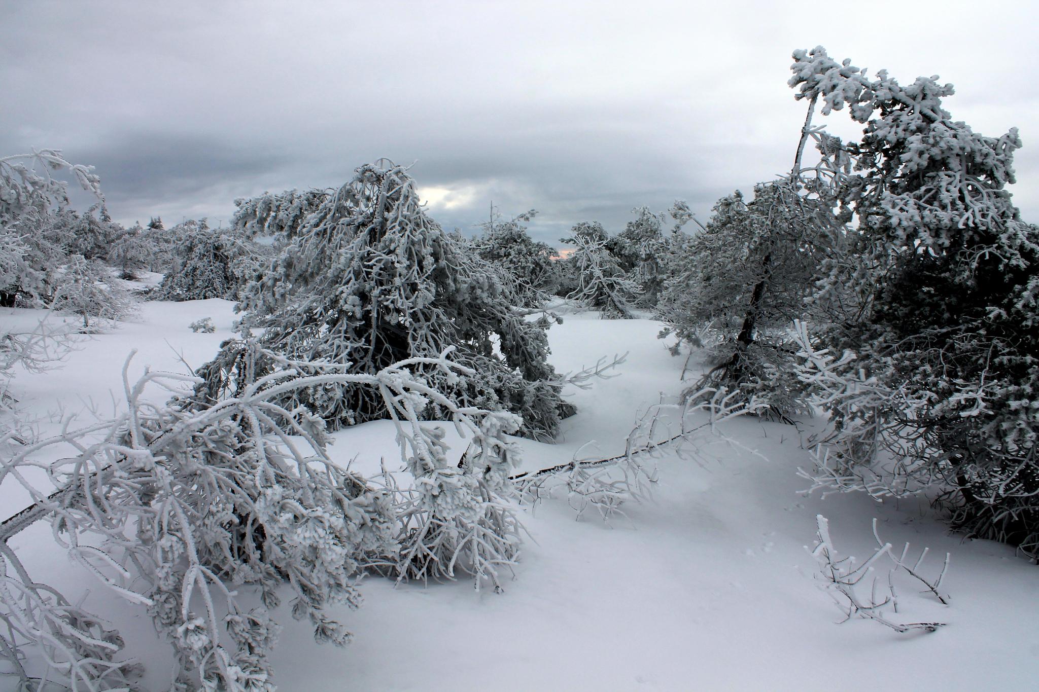 Randonnée raquettes avec raquettes