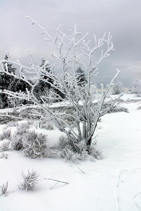 Randonnée raquettes avec raquettes
