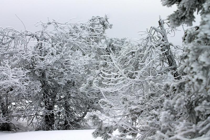 Randonnée raquettes avec raquettes