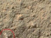 Curiosity découvre étrange "fleur" planète Mars