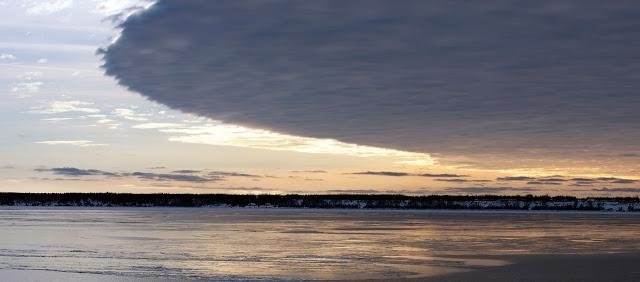 Nature étonnante...