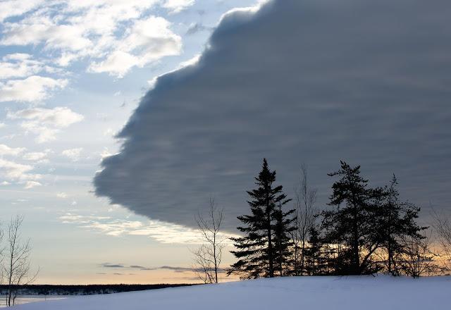 Nature étonnante...