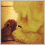 Mes jolis souvenirs #7