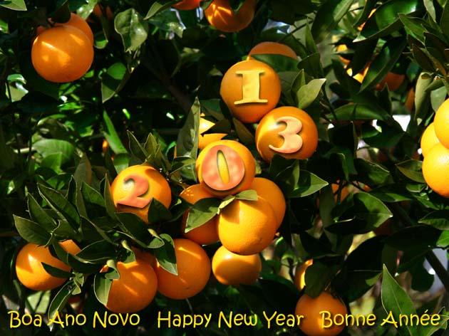 Happy new year laranja 2013