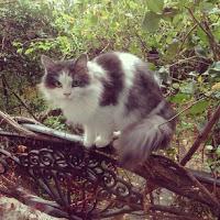 Les Photos du Dimanche #56