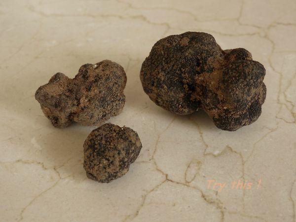 truffes