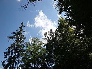 Cruseille 3 aout 2012 112