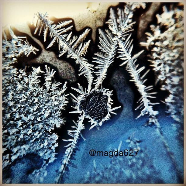 Another test of my olloclip