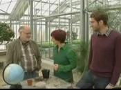 Désertification,un problème mondial...