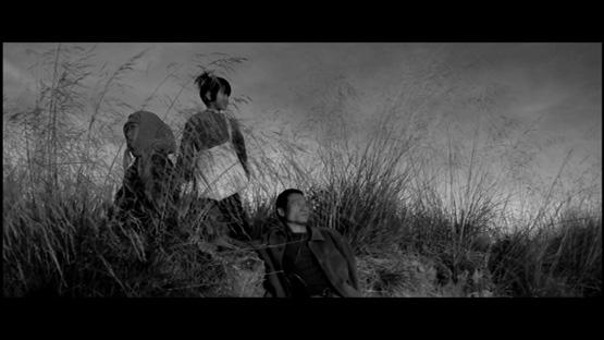 Black Blood : Ma petite entreprise