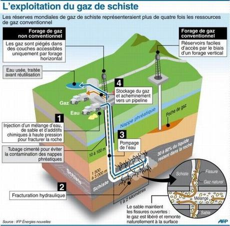 Leïla en vert et contre tout: la Schistinière