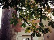 Balade {automnale} près Sancerre