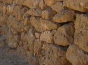 cultures terrasses découvertes Petra