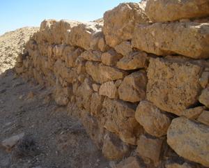 Des cultures en terrasses découvertes à Petra